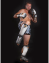 White Buddha Titanium Shin Guards | Muay Thai and Kickboxing