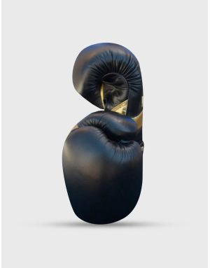 Epic Black Leather Boxing Gloves. Ergonomic design, GS-4 padding and double Velcro fastening for maximum protection.