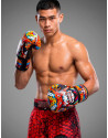 Guantes de Boxeo Buddha Samurai | Muay Thai, Kick Boxing y MMA | Il Coliseum