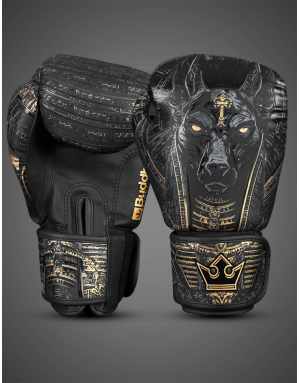 Guantes de Boxeo Buddha Anubis | Muay Thai, Kick Boxing y MMA | Il Coliseum
