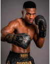 Guantes de Boxeo Buddha Anubis | Muay Thai, Kick Boxing y MMA | Il Coliseum