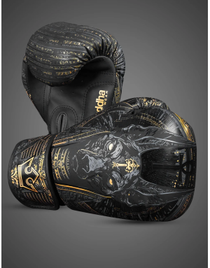 Guantes de Boxeo Buddha Anubis | Muay Thai, Kick Boxing y MMA | Il Coliseum