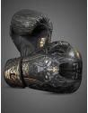 Buddha Anubis Boxing Gloves | Muay Thai, Kickboxing and MMA | Il Coliseum